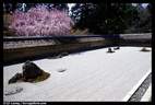 Japánkert képek az internetről - 576x390 pixel - 79320 byte Kerti szikla, sziklakert