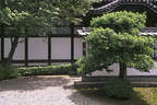 Japánkert képek az internetről - 300x200 pixel - 28417 byte Kerti szikla, sziklakert
