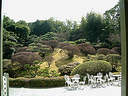 Japánkert képek az internetről - 200x150 pixel - 20415 byte München