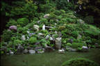 Japánkert képek az internetről - 485x324 pixel - 68075 byte Mediterrán kerítés