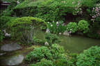 Japánkert képek az internetről - 485x324 pixel - 74354 byte Mediterrán kerítés