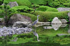 Japánkert képek az internetről - 600x400 pixel - 136359 byte Mediterrán kerítés