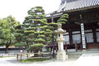 Japánkert képek az internetről - 1024x683 pixel - 378601 byte Mediterrán kerítés