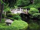 Japánkert képek az internetről - 400x300 pixel - 63882 byte Mediterrán kerítés