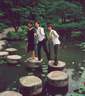 Japánkert képek az internetről - 387x435 pixel - 48543 byte Mediterrán kerítés
