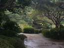 Japánkert képek az internetről - 427x318 pixel - 54252 byte Mediterrán kerítés