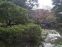 Japánkert képek az internetről - 346x260 pixel - 48391 byte Mediterrán kerítés