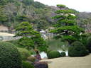 Japánkert képek az internetről - 640x480 pixel - 104473 byte Mediterrán kerítés