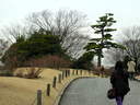Japánkert képek az internetről - 640x480 pixel - 98942 byte Mediterrán kerítés