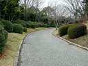 Japánkert képek az internetről - 640x480 pixel - 120612 byte Mediterrán kerítés