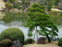 Japánkert képek az internetről - 640x480 pixel - 108844 byte Mediterrán kerítés