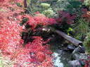Japánkert képek az internetről - 640x480 pixel - 166034 byte Mediterrán kerítés