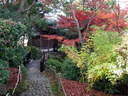 Japánkert képek az internetről - 640x480 pixel - 142936 byte Mediterrán kerítés