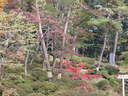 Japánkert képek az internetről - 1024x768 pixel - 429629 byte Gyepszegély