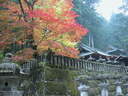 Japánkert képek az internetről - 1024x768 pixel - 413992 byte kert felújítás és gyepszőnyeg