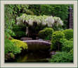 Japánkert képek az internetről - 810x702 pixel - 318099 byte kert felújítás és gyepszőnyeg