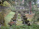 Japánkert képek az internetről - 1024x768 pixel - 349842 byte Gépiföldmunka út és sziklakertépítés