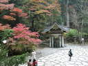 Japánkert képek az internetről - 1024x768 pixel - 392997 byte Gépiföldmunka út és sziklakertépítés, tereprendezés