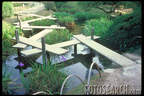 Japánkert képek az internetről - 500x333 pixel - 73483 byte kert felújítás és gyepszőnyeg