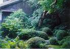Japánkert képek az internetről - 360x251 pixel - 42794 byte kertépítés Veresegyházán