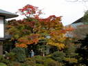 Japánkert képek az internetről - 1024x768 pixel - 358110 byte Lakópark I.