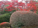 Japánkert képek az internetről - 1024x768 pixel - 455076 byte Mediterrán kerítés