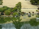 Japánkert képek az internetről - 640x480 pixel - 93024 byte Mediterrán kerítés